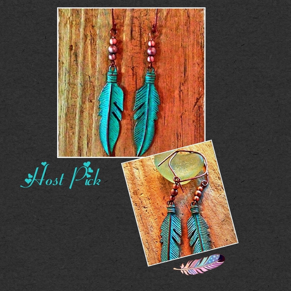 HP!  Boho Cowgirl Turquoise Feather Earrings